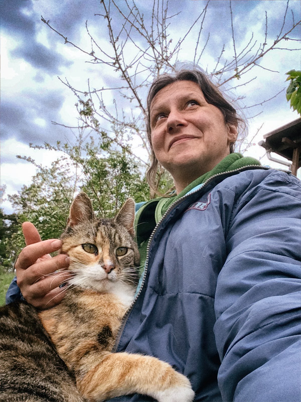 Kuscheln mit fremder Katze