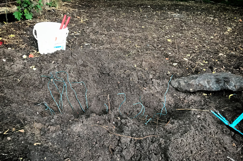 Schweine